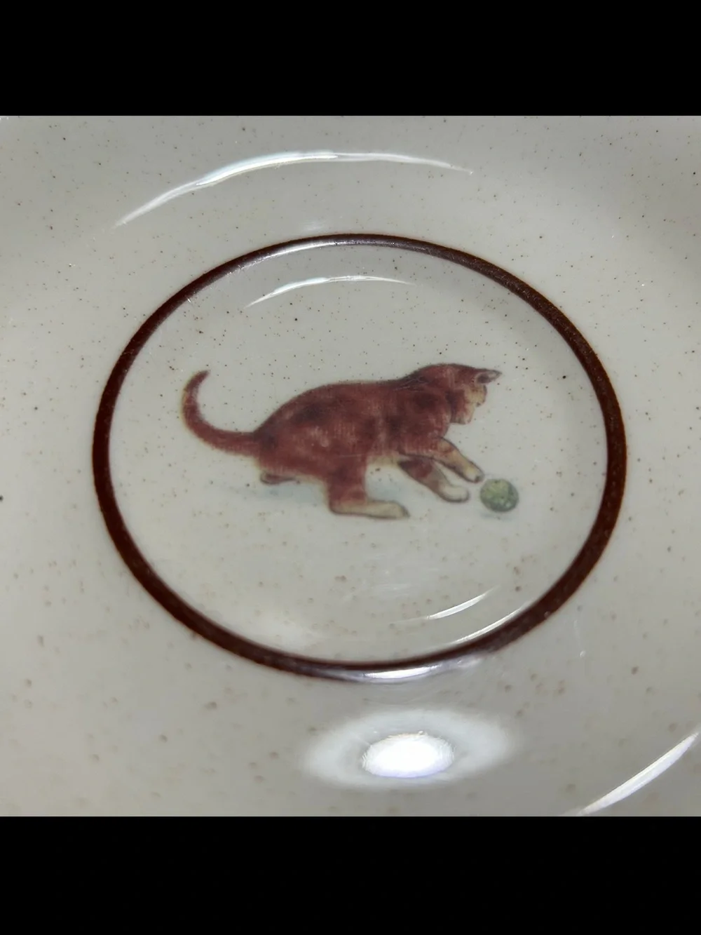 Cream Ceramic Cat Bowl with Brown Trim and Playful Cat Illustration